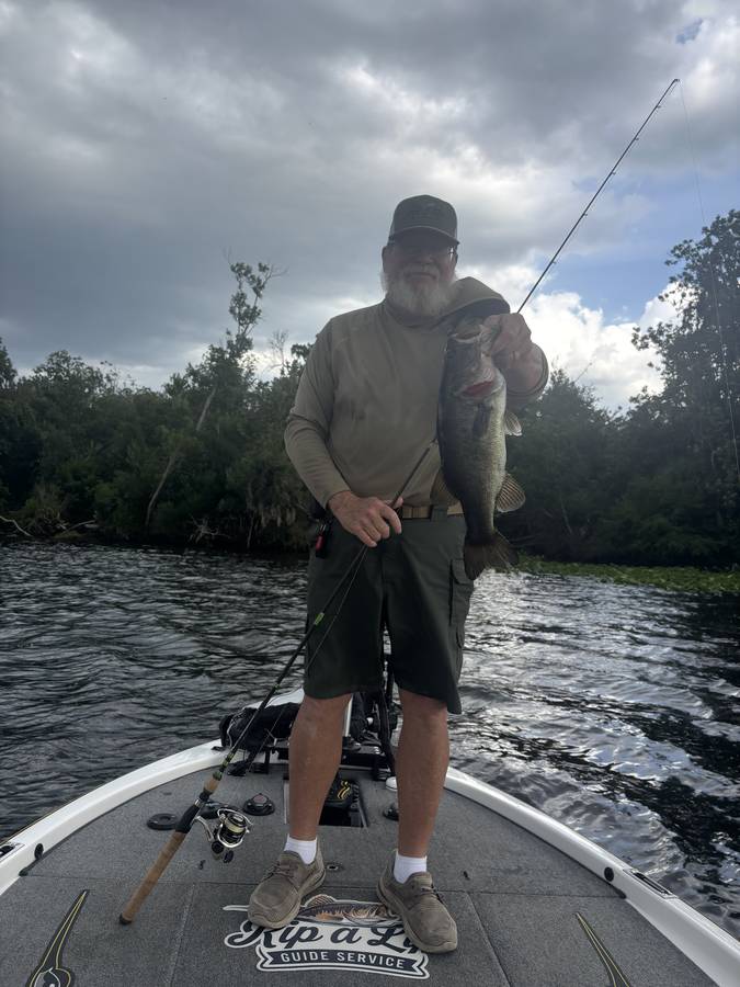Angler with a heavy St. Johns River largemouth on an overcast morning
