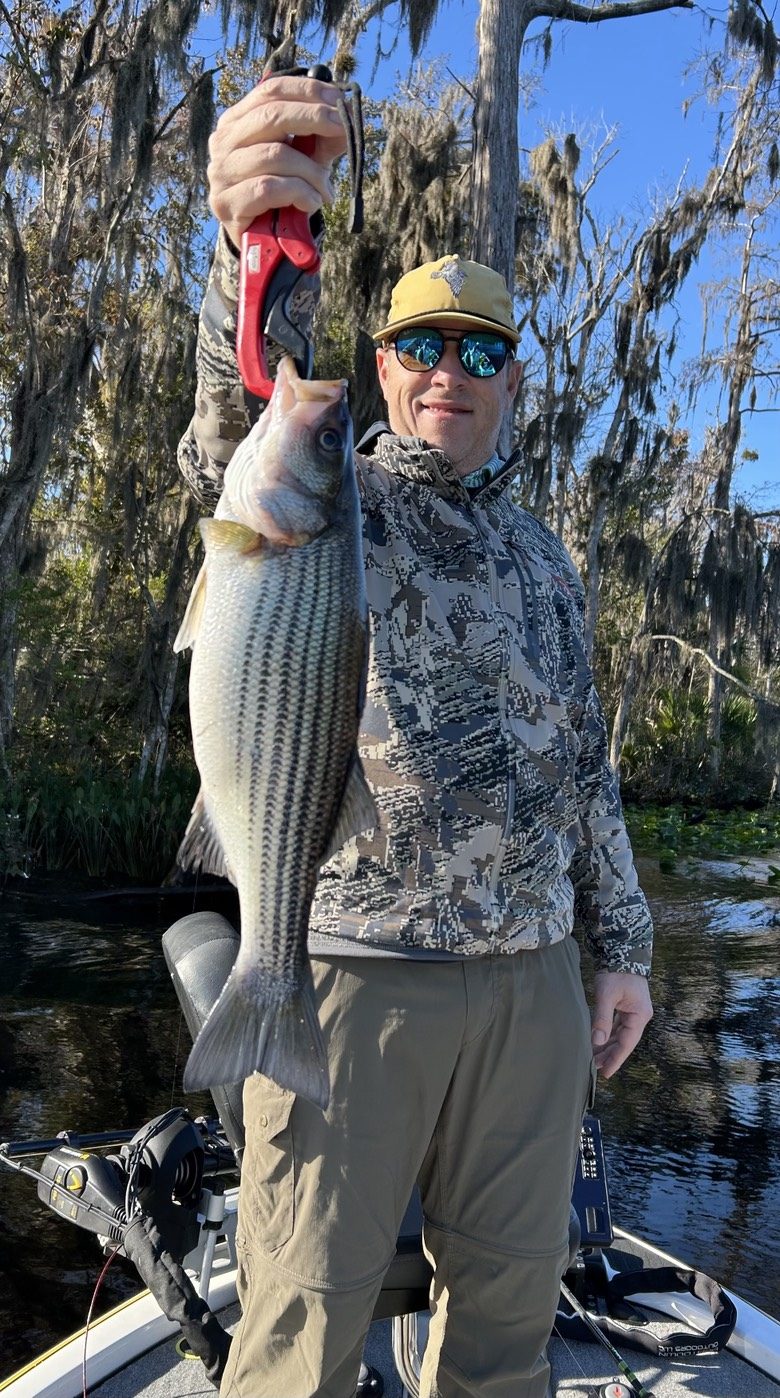 Bass fishing trip — photo 13