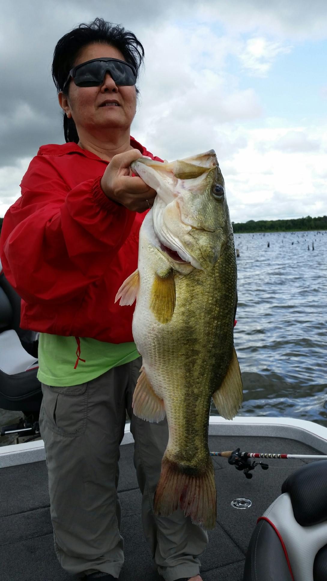 Trophy largemouth bass